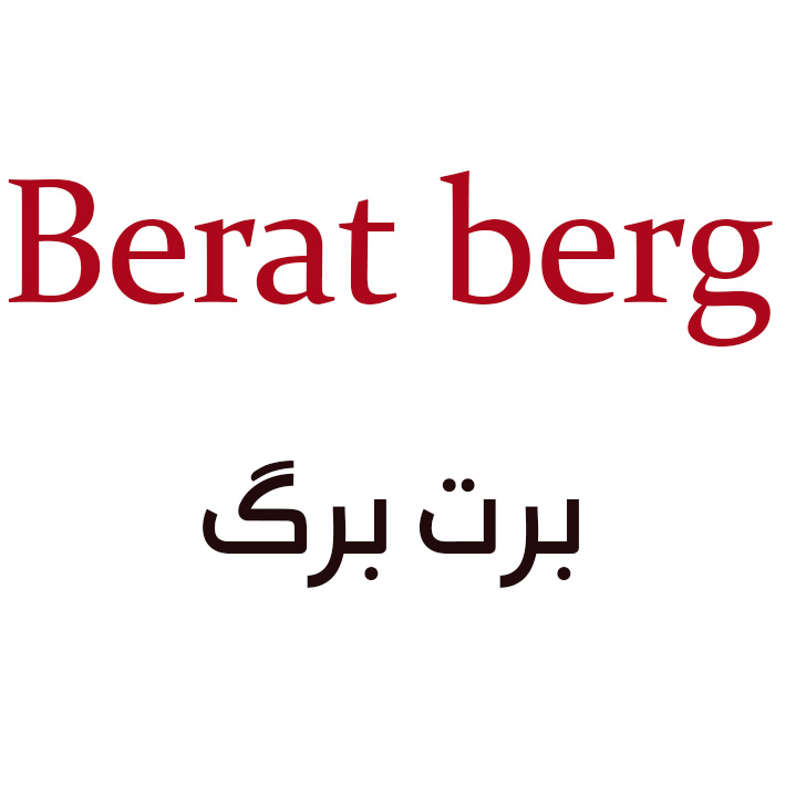 برت برگ